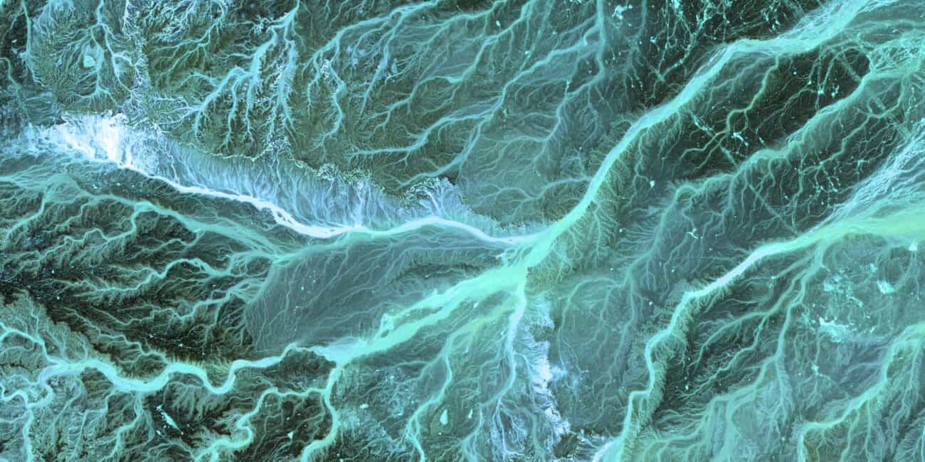 Auf dem Bild ist eine Nah